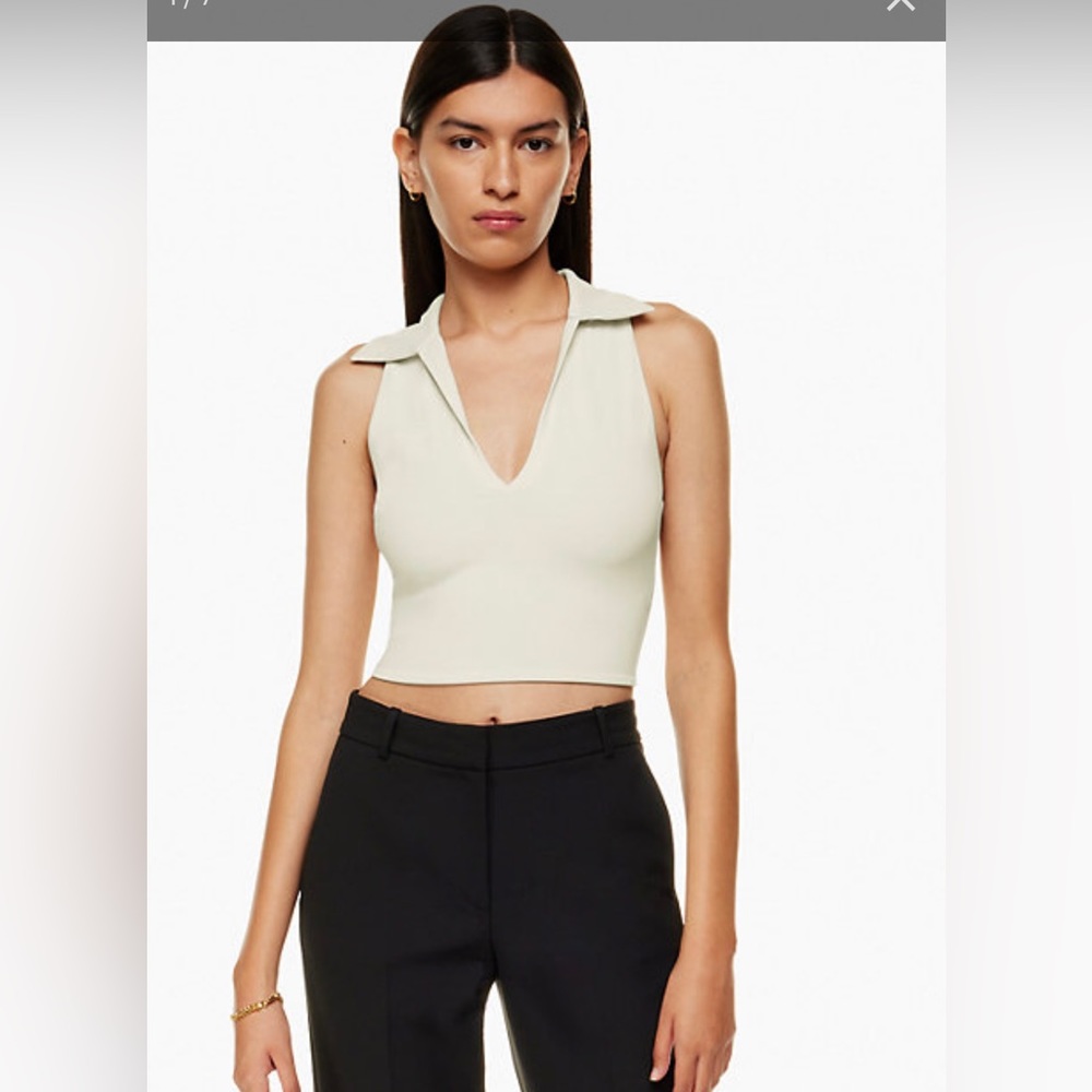 Aritzia Babaton
Contour Polo Tank